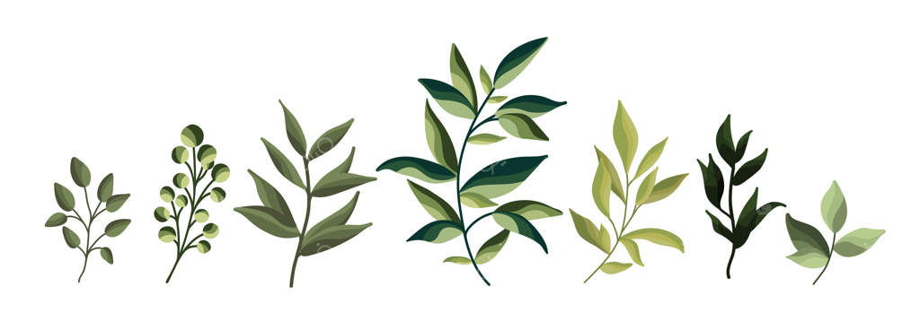 مجموعه‌ای از برگ‌های سبز گیاهان، جنگل و برگ‌های گرمسیری. مجموعه باغ گیاه‌شناسی