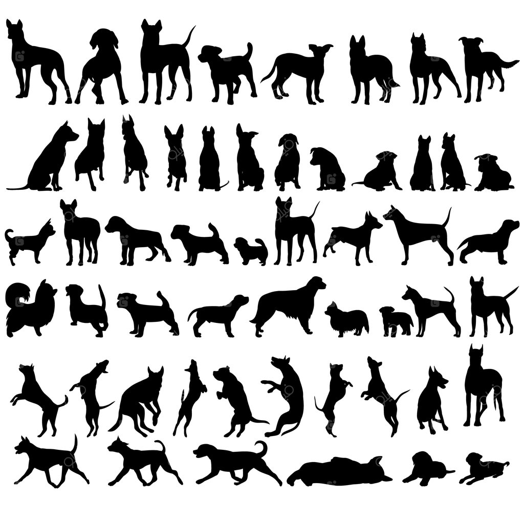 مجموعه وکتور سیلوئت سیاه سگ ایستاده در پس‌زمینه سفید