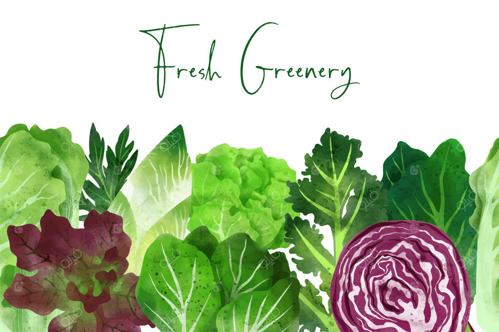 مرز بدون درز شامل سبزیجات و گیاهان تازه