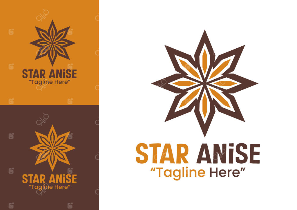 لوگوی بادیان ستاره‌ای هویت اصیل ادویه ارگانیک