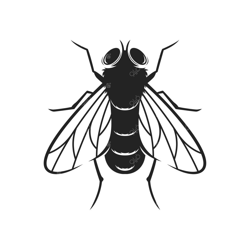 طرح وکتور سایه متن پرواز