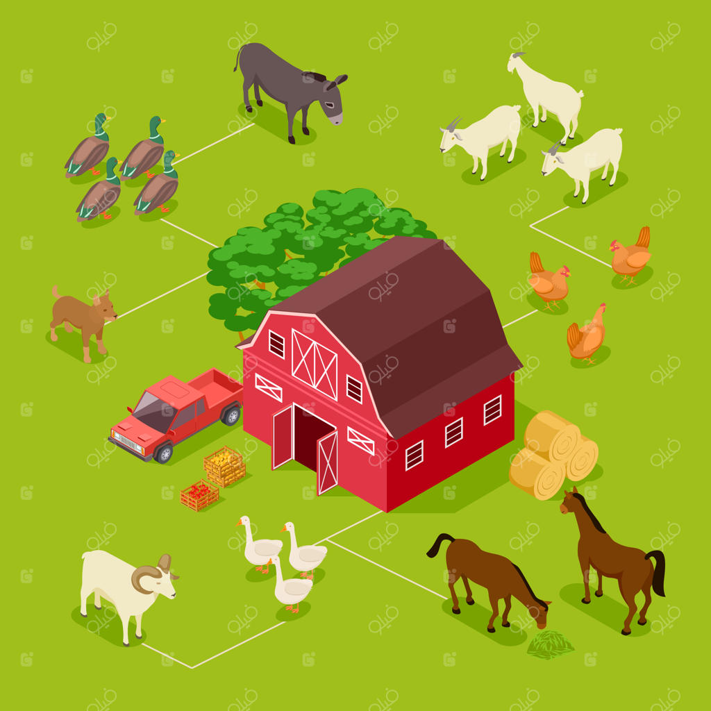 کانسپت مزرعه ایزومتریک به صورت وکتور.