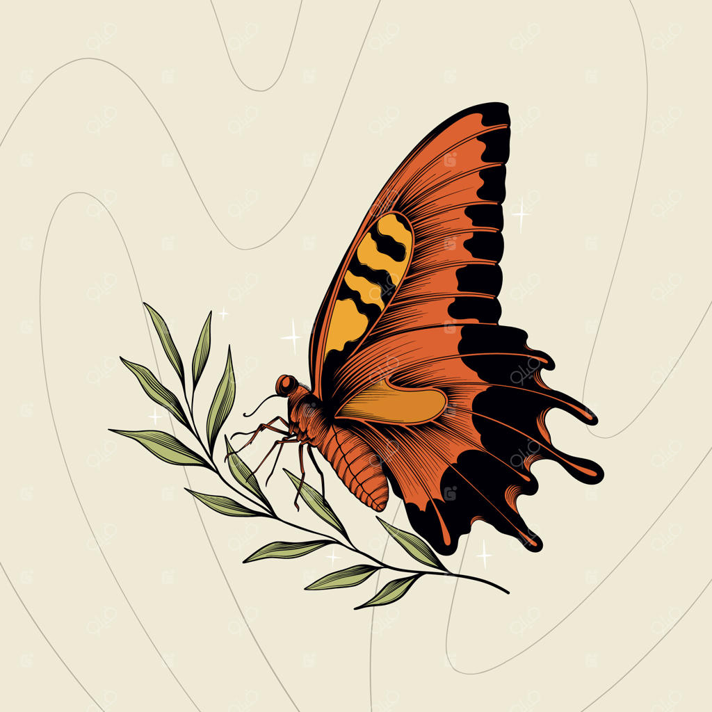 تصویرسازی پروانه با دست طراحی شده