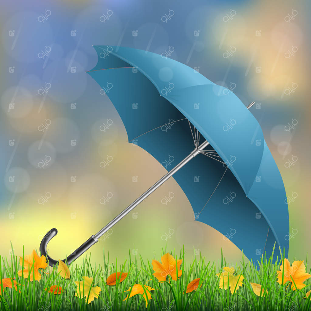 چتر افتاده روی چمن با برگ‌های پاییزی زیر باران.