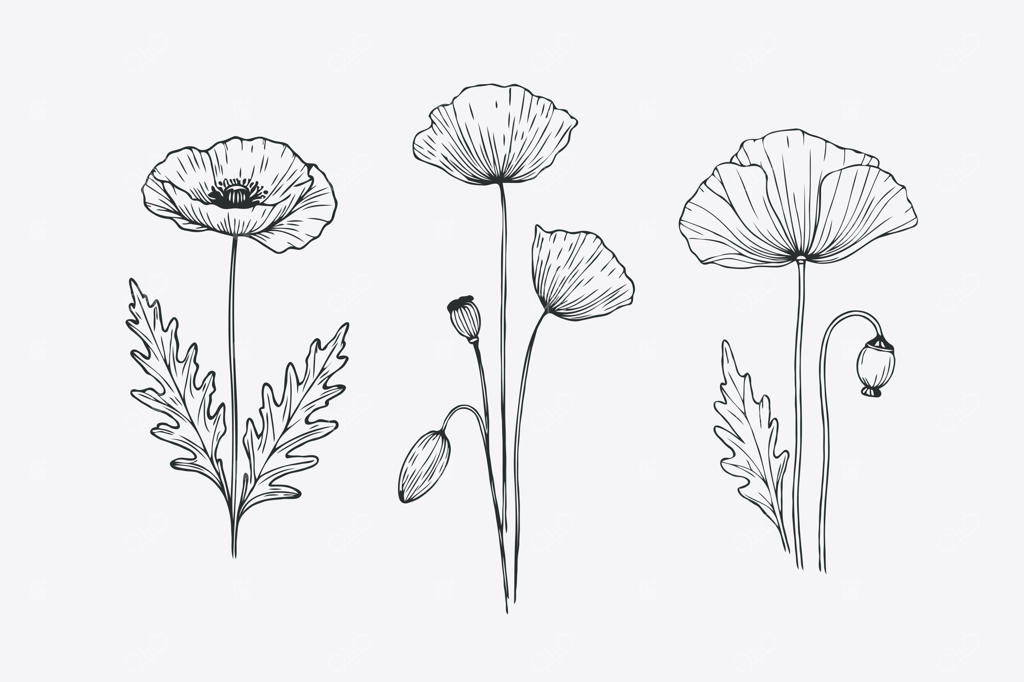 مجموعه‌ای از طراحی‌های گل، شامل طرحی با عنوان «گل»