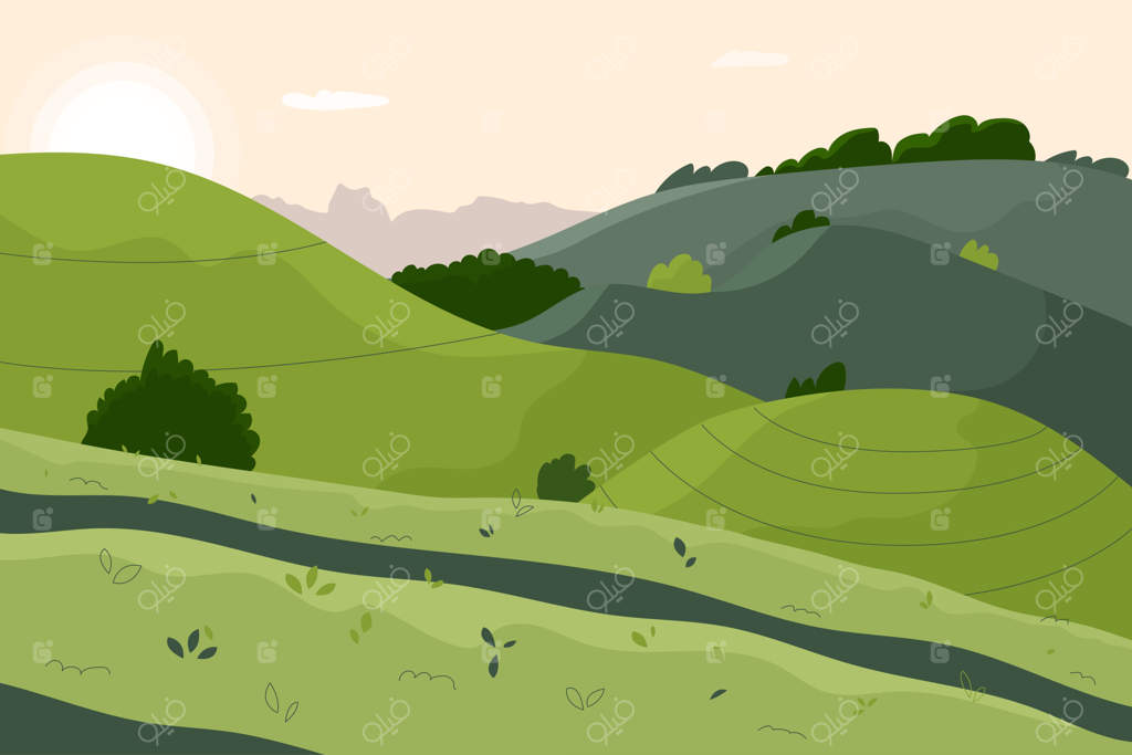 چشم انداز مزارع برگ چای: زمین‌های کشاورزی آسیا با تپه‌های زراعت و پانورامای مزارع ویتنامی