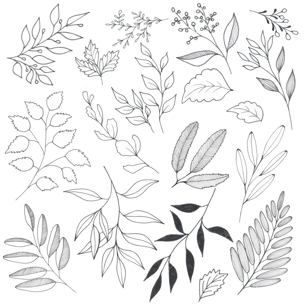 گل‌های طراحی‌شده با دست