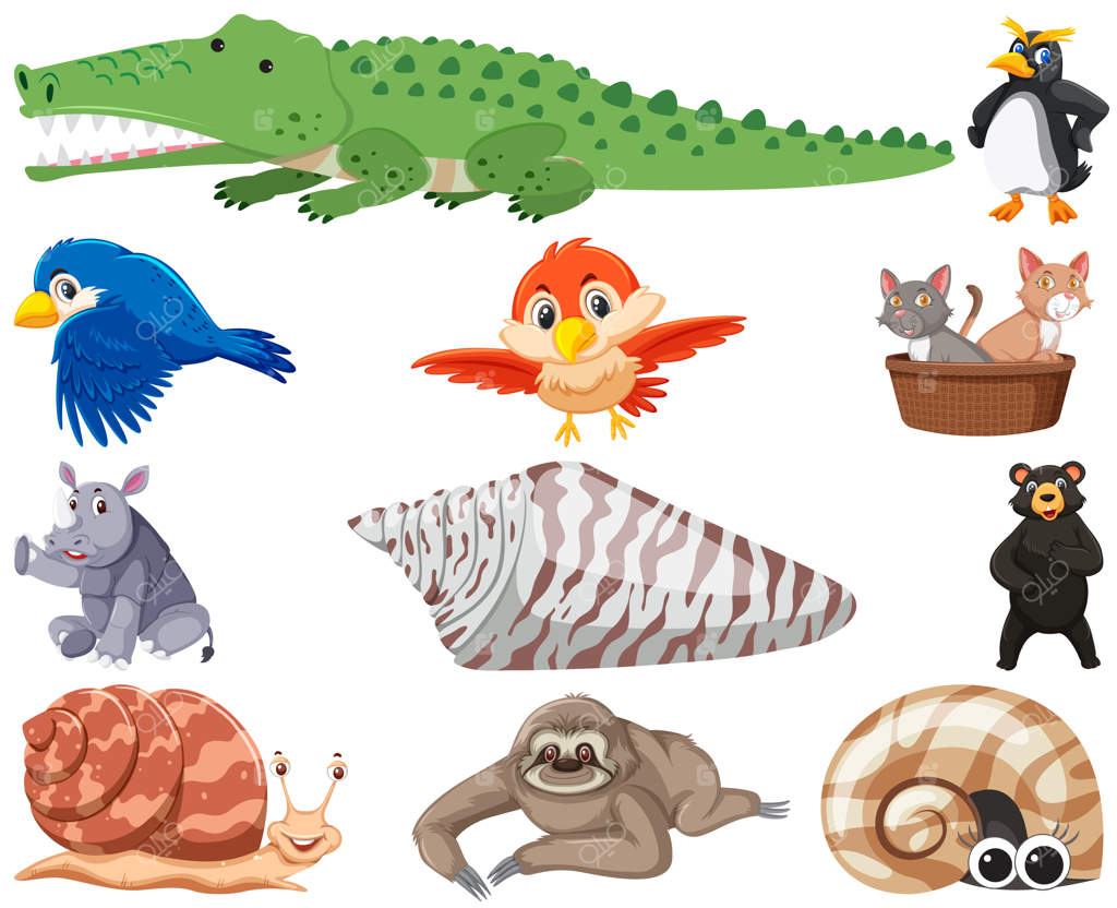 مجموعه‌ای از کارتون‌های حیوانات مختلف