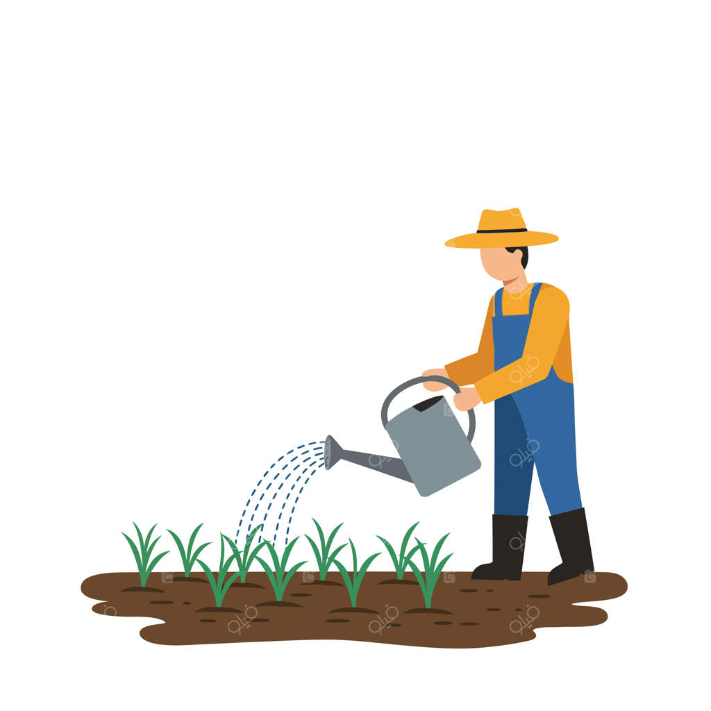 کشاورزی با کلاهی از کاه در حال آبیاری محصولات تازه کاشته شده در باغ با آب‌پاش خاکستری - تصویری ساده از زندگی روستایی و مراقبت‌های کشاورزی در صحنه‌ای شاد