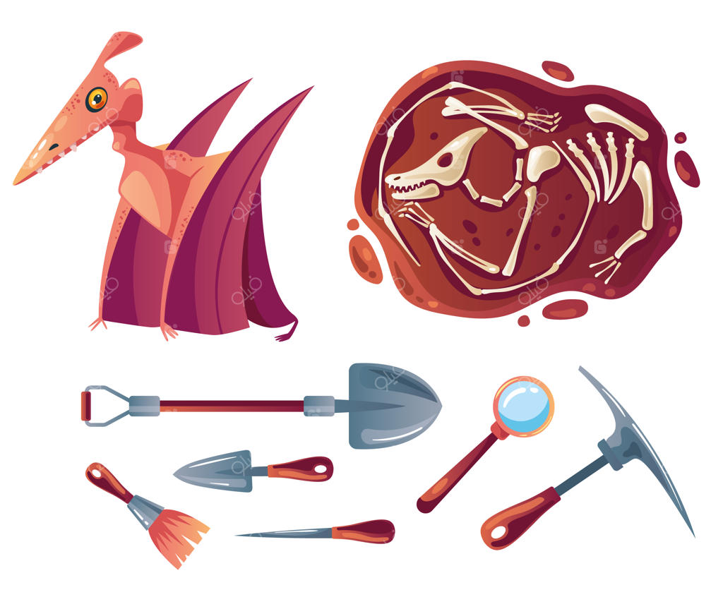 مجموعه ابزارهای حفاری دایناسور و دیرینه‌شناسی - طراحی گرافیکی ساده