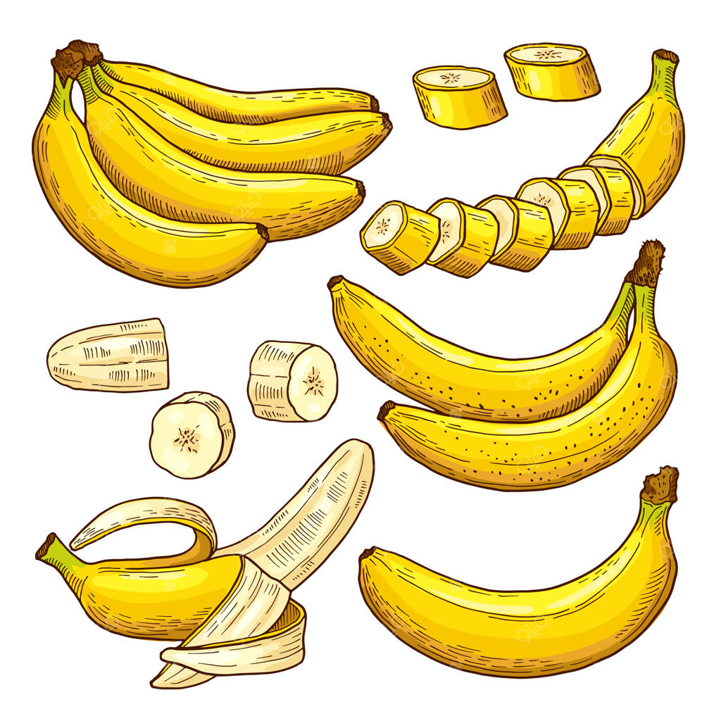 مجموعه‌ای از موزهای رنگارنگ: نمادهای استوایی به‌صورت دست‌کشیده