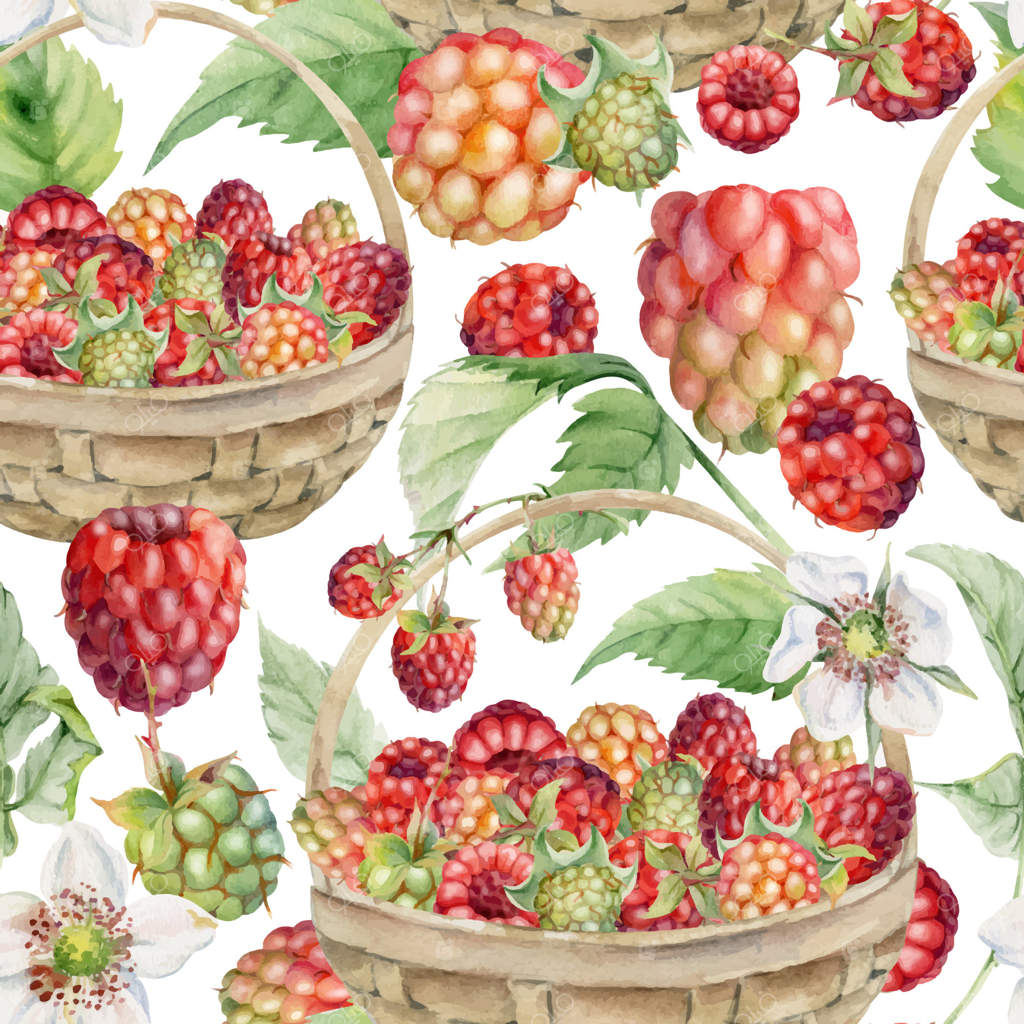 تمشک با برگ‌ها در سبد بافته شده، نقاشی دستی با آبرنگ. برداشت توت‌های جنگلی رسیده و پراکنده. پترن یکپارچه ایزوله. مواد غذایی خانگی، پارچه‌های نساجی، فروشگاه مواد غذایی، بسته‌بندی.