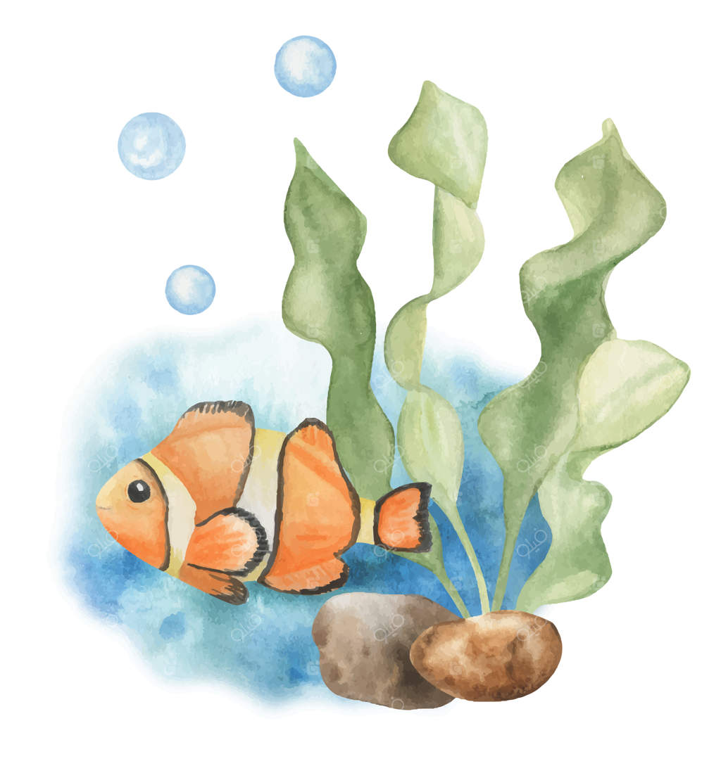 ترکیب ماهی‌های دریایی و جلبک‌ها