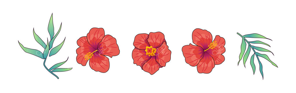 تصویر وکتور حرفه‌ای از گل‌های زیبای ختمی و برگ‌های سبز