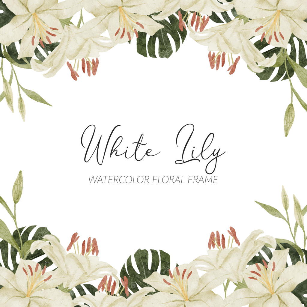 مجموعه دسته گل نیلوفر سفید نقاشی شده به سبک آبرنگی