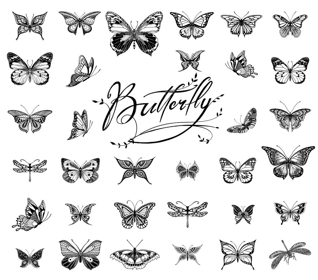 تصویرسازی گرافیکی پروانه‌ها