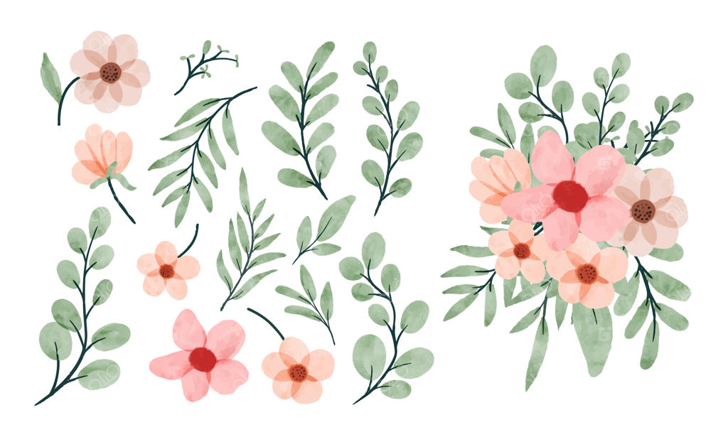 دسته‌ای زیبا از گل‌ها و برگ‌های آبرنگی - عناصر گل آبرنگی