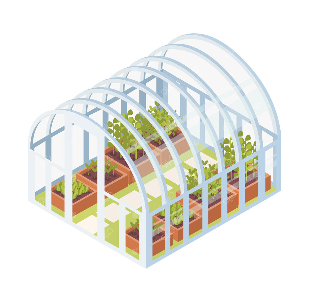 نشاهای سبز، جوانه‌ها یا گیاهانی که درون گلخانه شیشه‌ای رشد می‌کنند. گلخانه گنبدی ایزومتریک با باغچه‌های مخصوص باغبانی خانگی. تصویر به سبک ساده