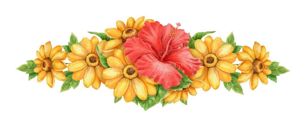 تنظیم دسته‌گل گسترده گل ختمی قرمز و آفتابگردان. نقاشی دست‌ساز با آبرنگ از گل‌ها و برگ‌ها. المان گرافیکی با حس و حال تعطیلات. مناسب برای قالب کارت‌های تابستانی و طراحی فصل تعطیلات.