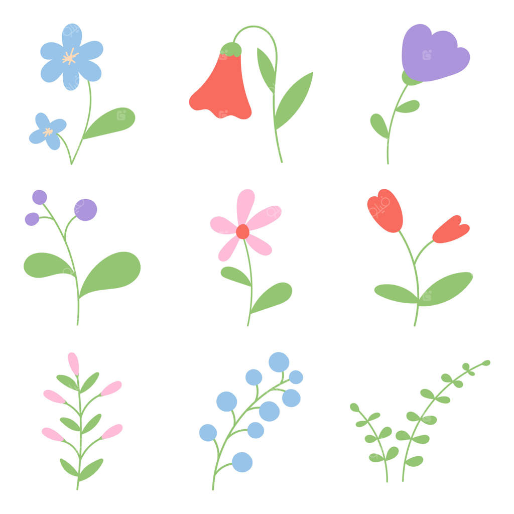 مجموعه گل های دست‌کشیده تابستانی: گل‌های وحشی و برگ‌ها. عناصر گل و گیاه باغچه. طراحی ساده و مسطح