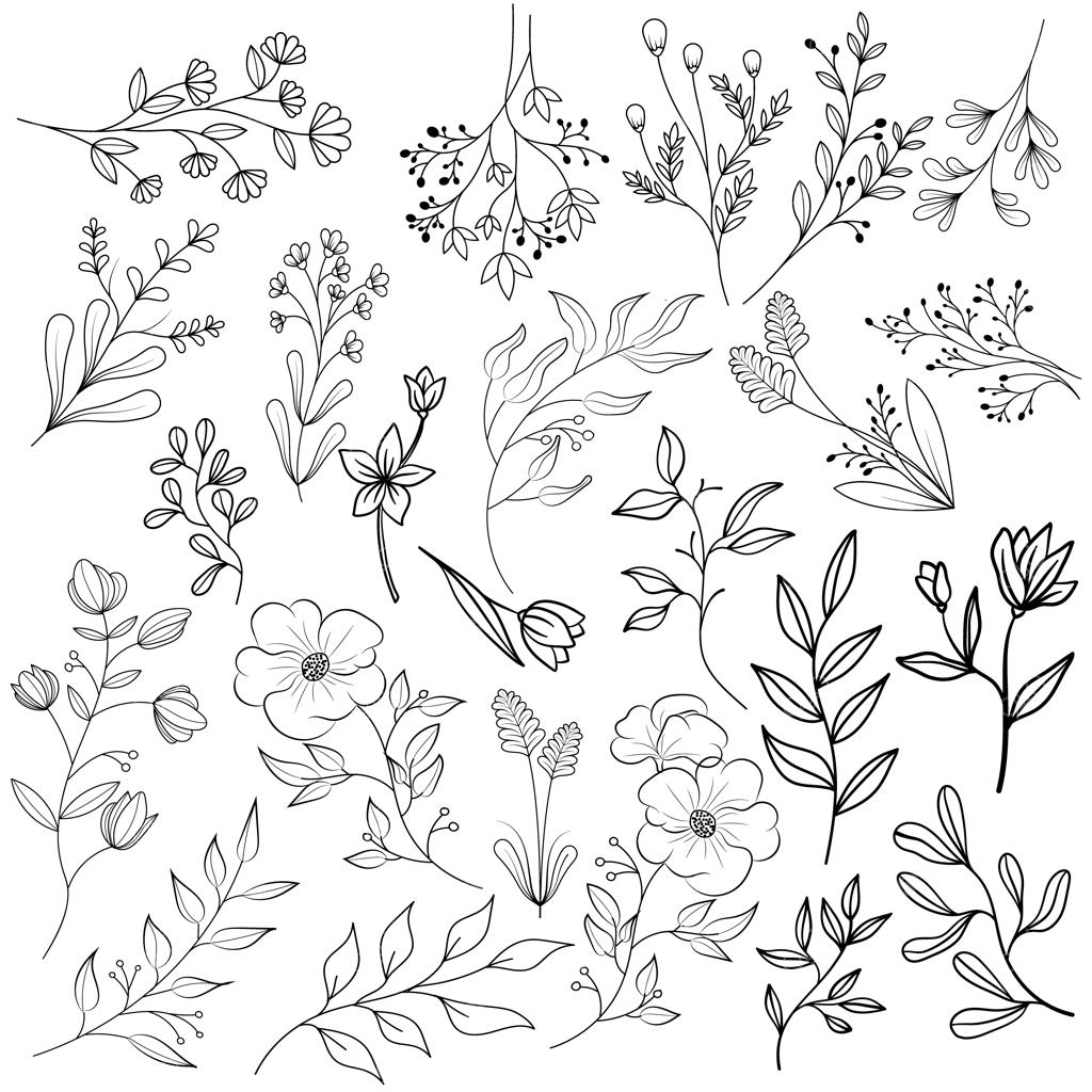 مجموعه‌ای از گیاهان که روی یکی از آن‌ها کلمه «Wild» نوشته شده است