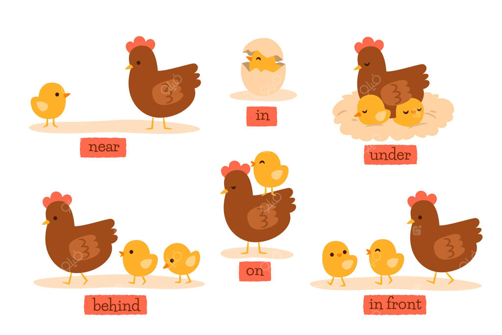 راه خلاقانه برای نمایش حروف اضافه انگلیسی با مرغ