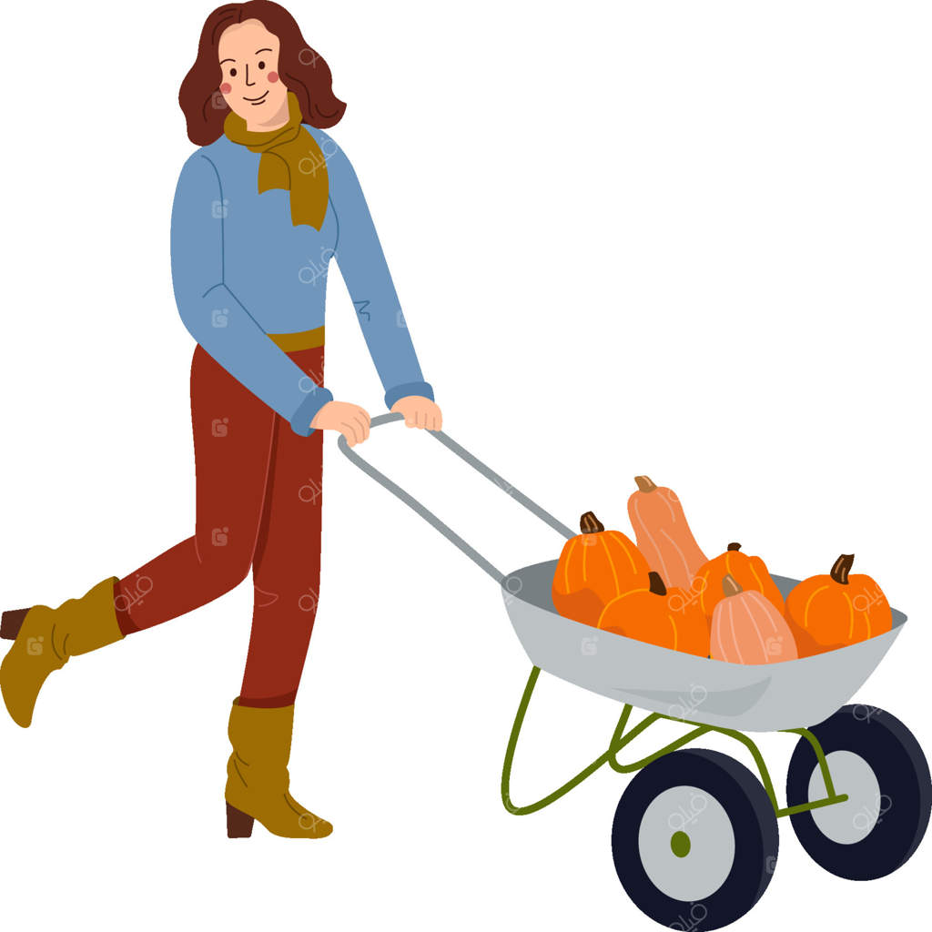 زنی با فرغون، برداشت پاییزی را جابجا می‌کند. کارگر مزرعه با چرخ‌دستی و محصول کدو تنبل. کشاورز و فرغون. تصویر رنگی و مسطح روی زمینه سفید.