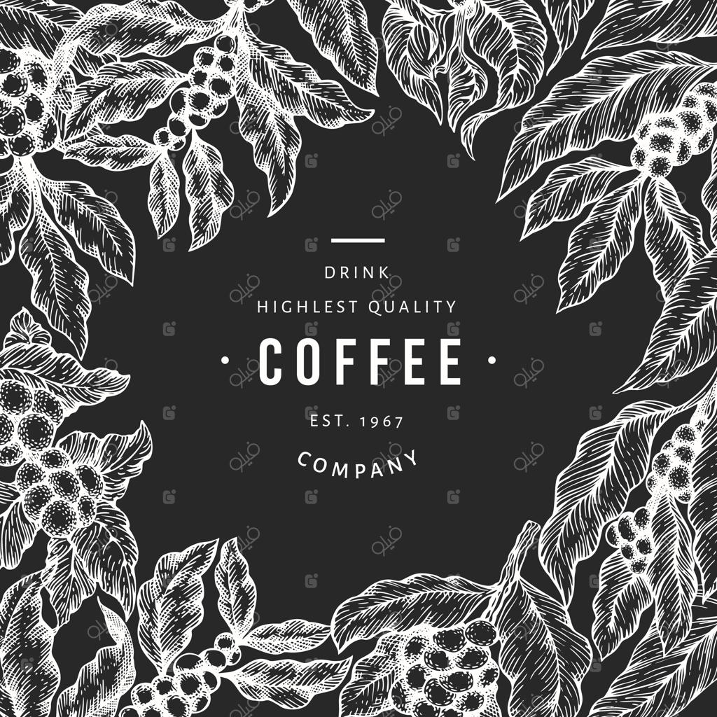 تصویرسازی شاخه درخت قهوه.