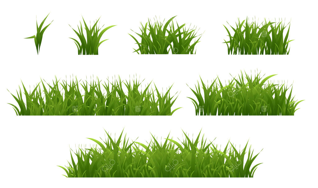 مجموعه بزرگ چمن سبز با پس‌زمینه سفید