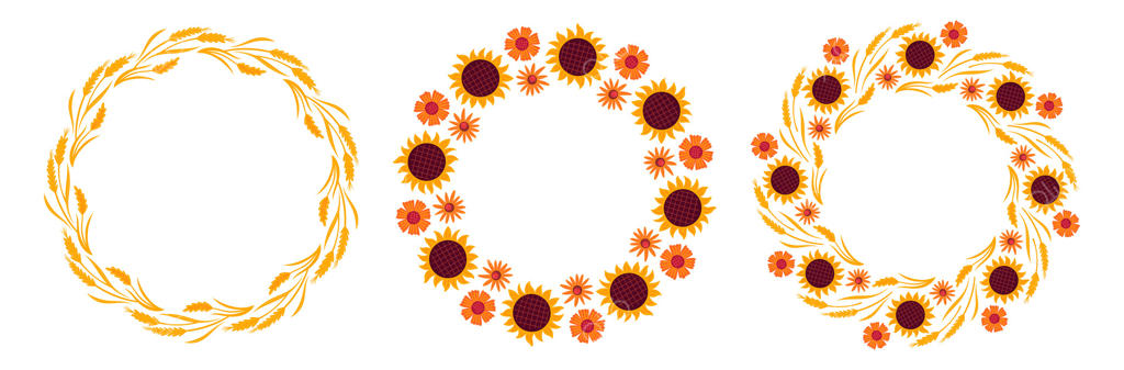 قاب دایره‌ای از سنبله‌های گندم و گل‌ها. حاشیه گرد پاییزی. تاج‌گل پاییزه. تصویر تخت جدا شده روی زمینه سفید.