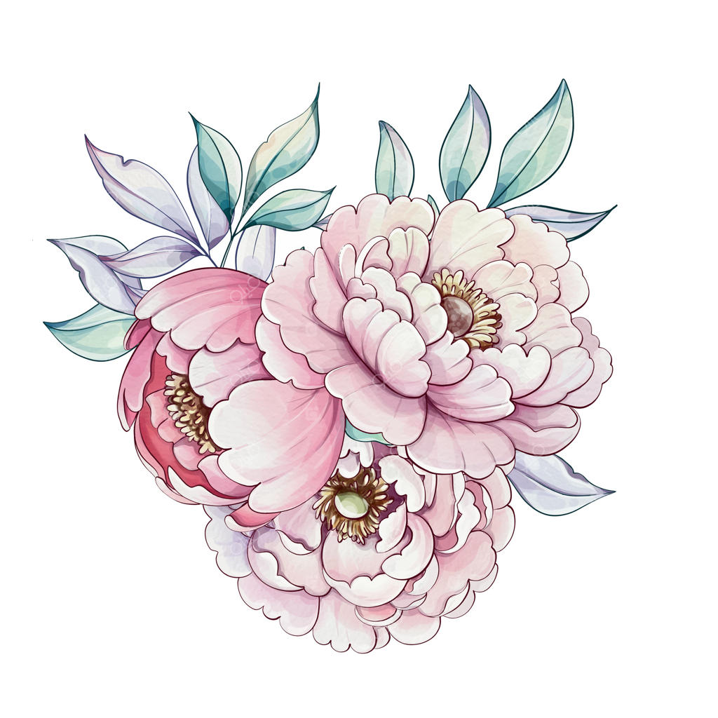 گل‌های زیبا و فریبندهٔ صد تومانی در رنگ‌های نرم صورتی و سفید با گلبرگ‌های ظریف و برگ‌های سبز و شاداب خود، فضایی آرام و بهاری را تداعی می‌کنند.