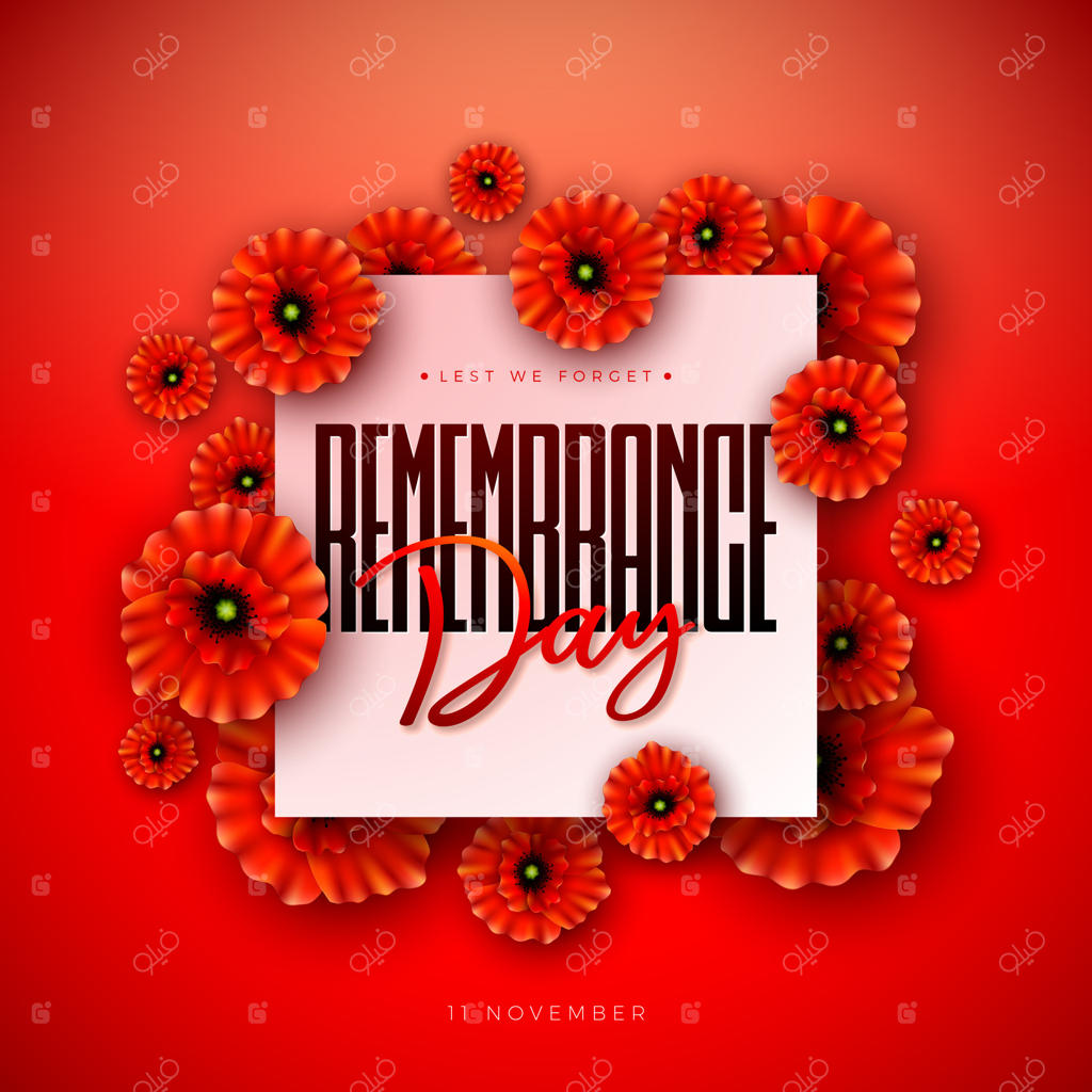 طراحی بنر روز یادبود با گل شقایق سرخ و تایپوگرافی "فراموش نمی‌کنیم" در زمینه قرمز. 11 نوامبر، روز جهانی بزرگداشت نیروهای مسلح و احترام به سربازان آنزاک.