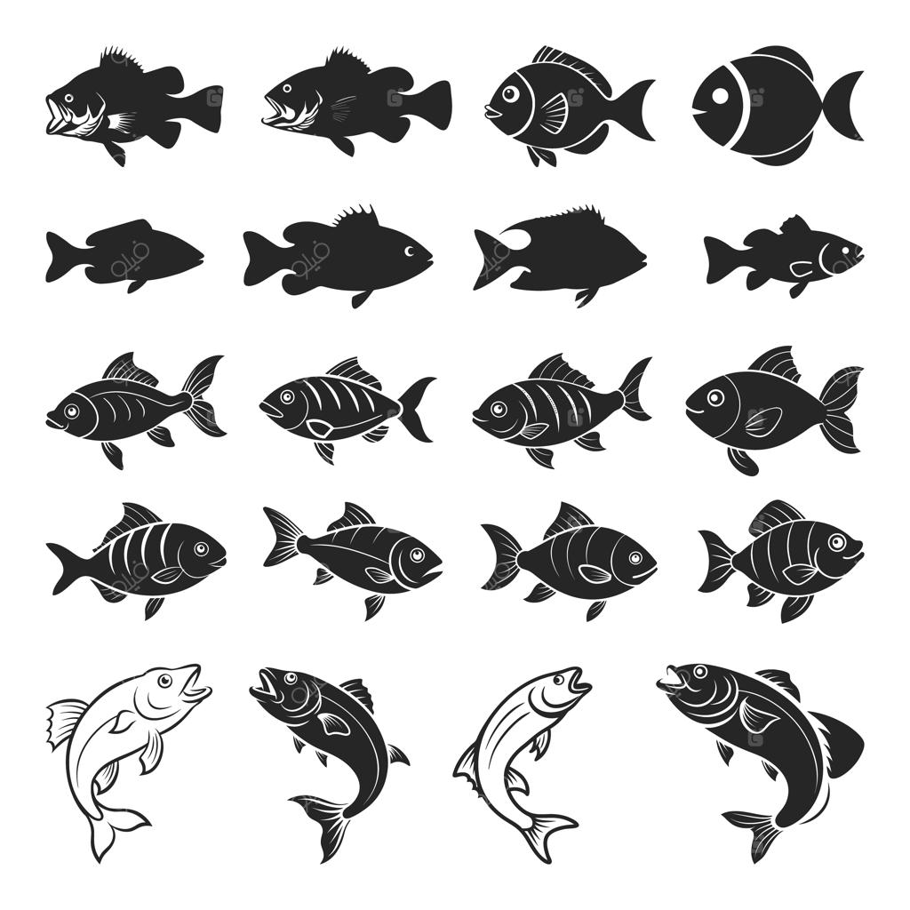 تصویرسازی وکتور ماهی برای لوگوی ماهیگیری، مجموعه سیلوئت و آیکون ماهی