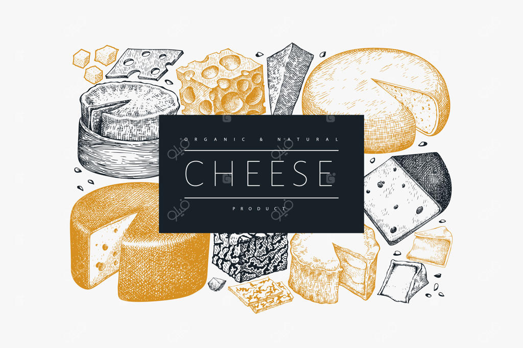 قالب طراحی پنیر: تصویرسازی دست‌کشیده لبنیات. بنر انواع مختلف پنیر به سبک حکاکی. پس‌زمینه غذایی کلاسیک.