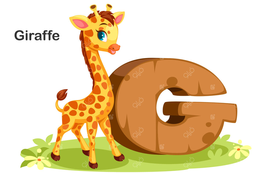 G مثل زرافه