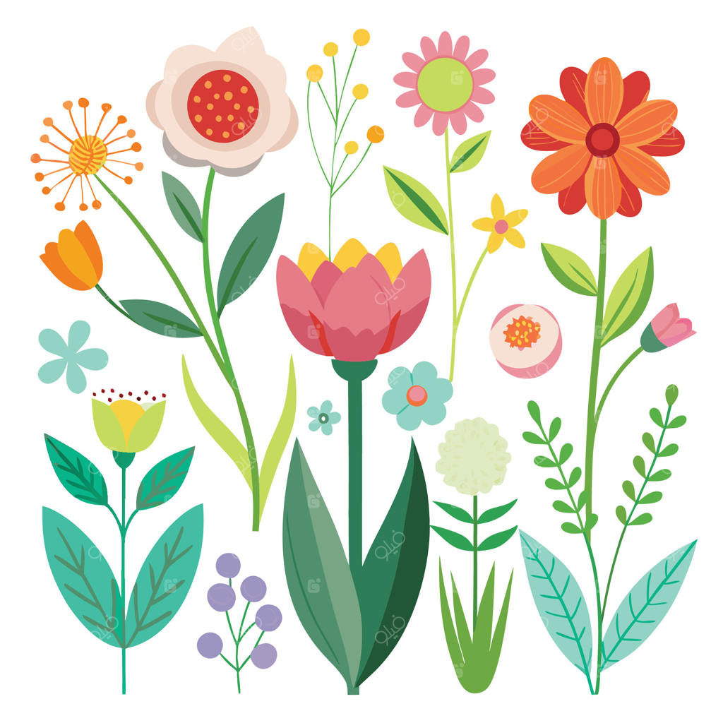 زیبایی گل‌های باغچه