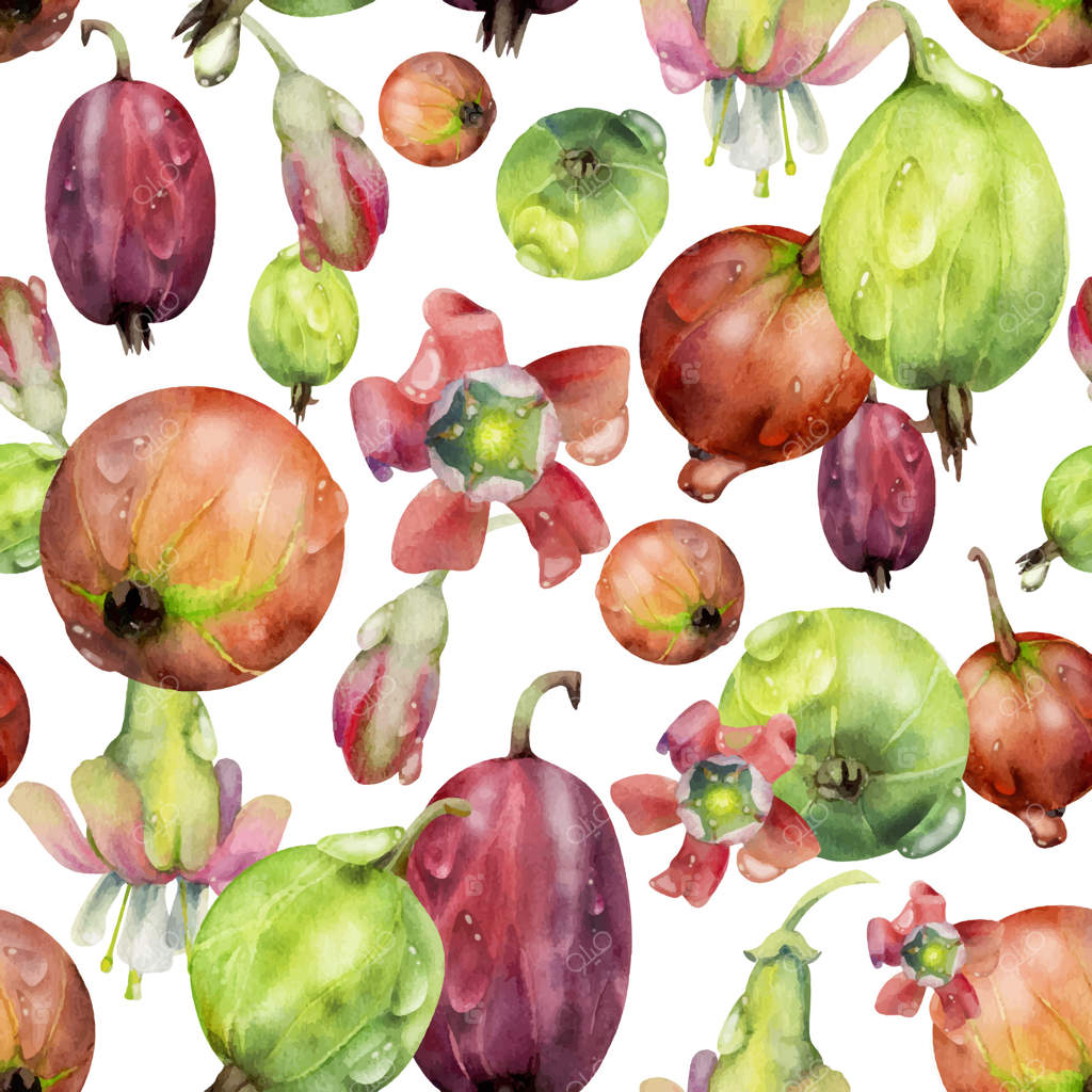 انگور فرنگی و توت‌فرنگی در باغچه، گل‌ها پراکنده در قطرات شبنم: نقاشی با آبرنگ، الگویی یکپارچه. مربای خانگی، کاشی‌های پارچه‌ای، دکور فروشگاه مواد غذایی، کتاب دستور پخت، منوی کافه