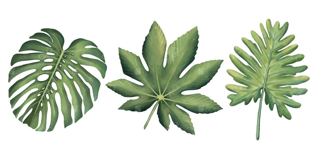 مجموعه‌ای از گیاهان گرمسیری با پس‌زمینه سفید - دست‌نقاشی آبرنگی شامل برگ‌های نخل تابستانی