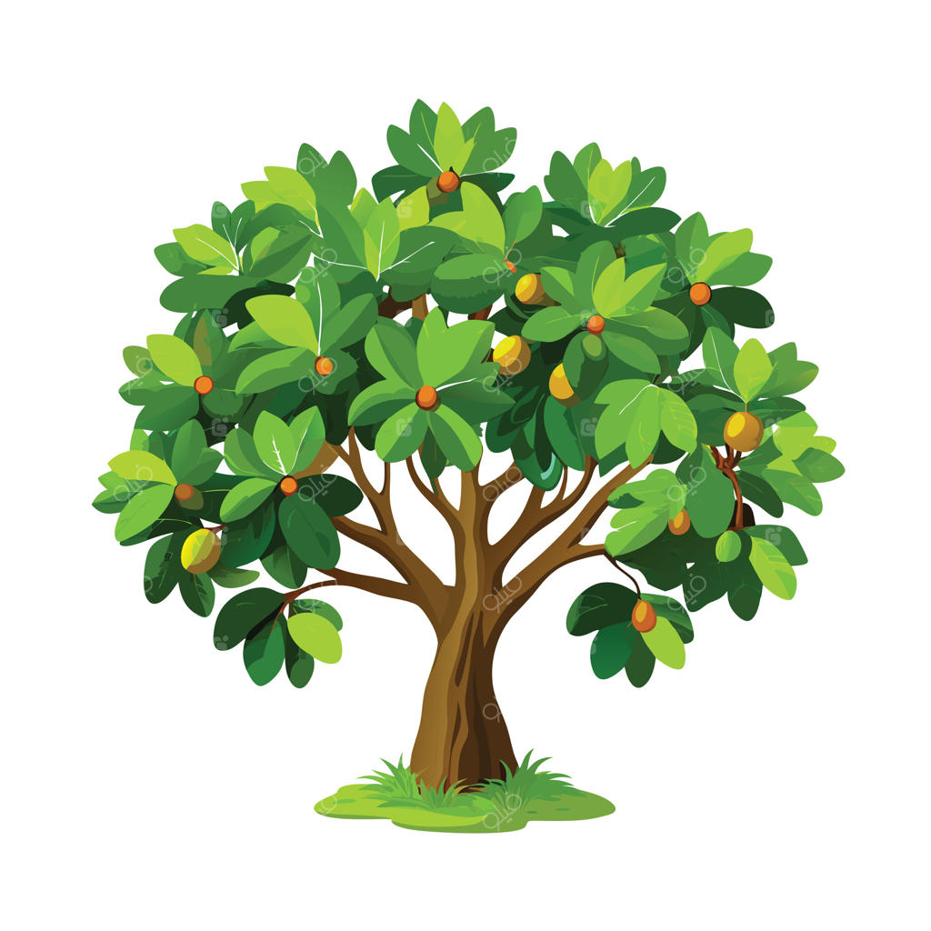 تصویر زیبا از درخت بزرگ و تنها