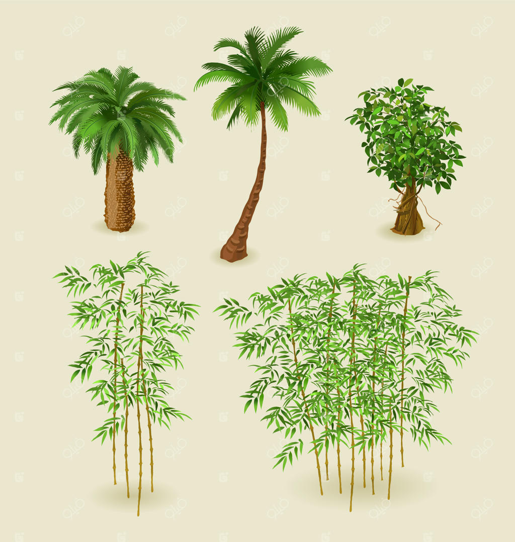 مجموعه‌ای از گیاهان گرمسیری و بامبو مجزا