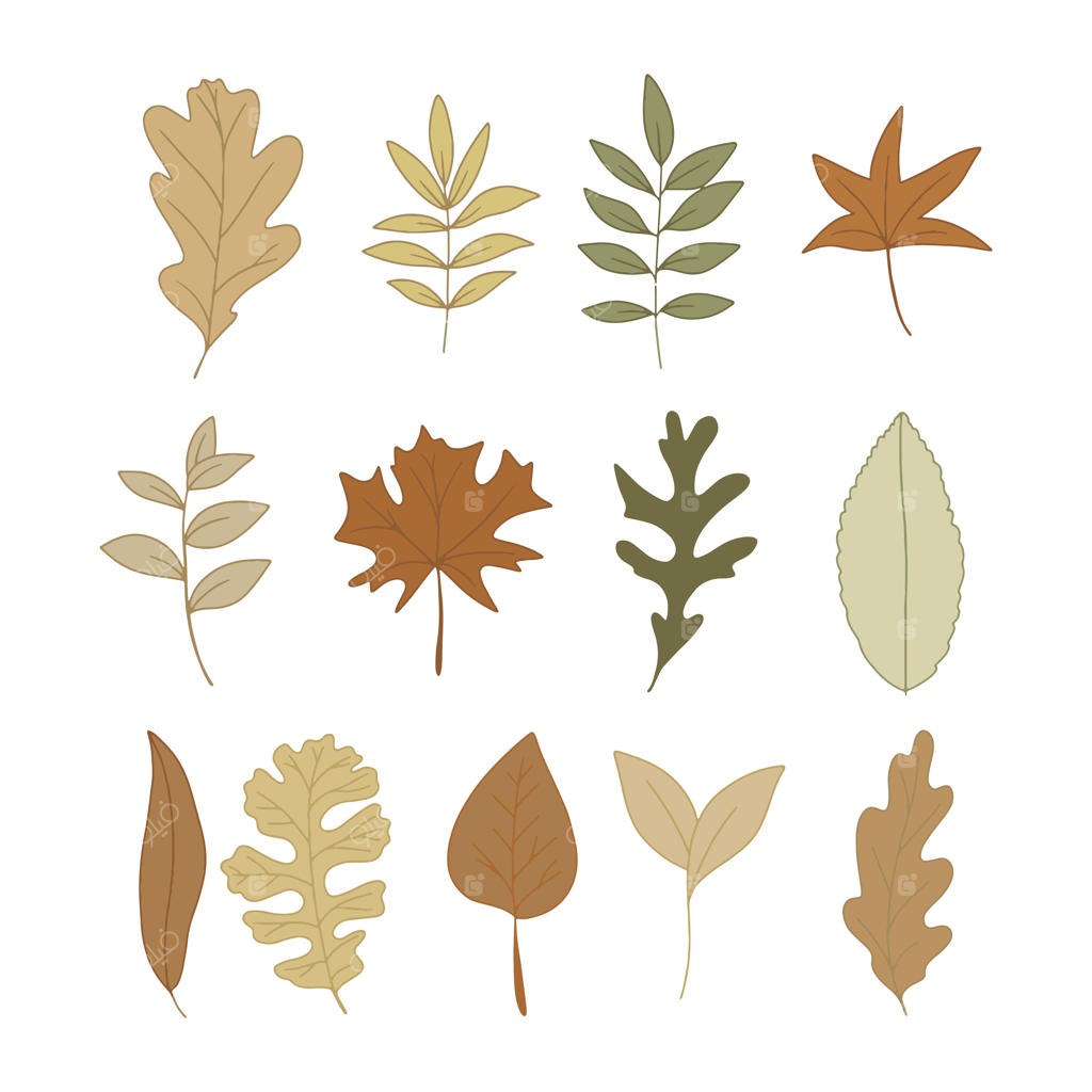 مجموعه‌ای از دسته گل‌های زیبا با عناصر آبرنگی گل و برگ‌ها