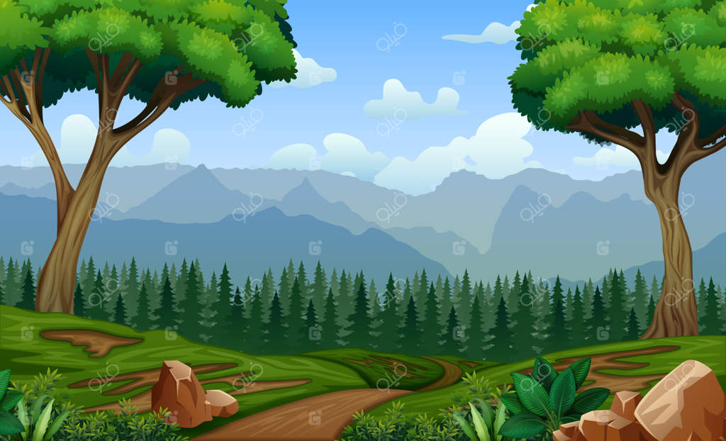 مسیر جنگلی پیچ در پیچ میان درختان