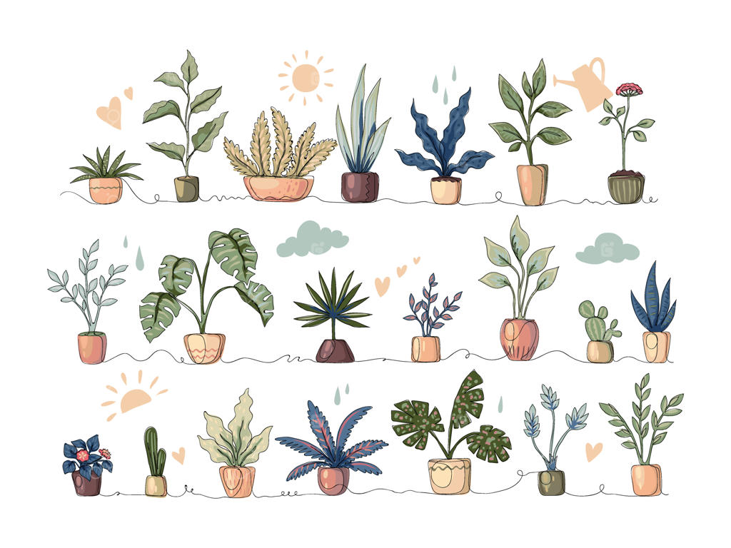 طرح مجموعه گیاهان آپارتمانی: خطی و کارتونی، گل‌ها و گیاهان گرمسیری با برگ‌ها و شاخ‌وبرگ‌ها، کاکتوس یا مونسترا زیبا، مرزهای تزیینی برای فضای داخلی، عناصر وکتور باغبانی خانگی.