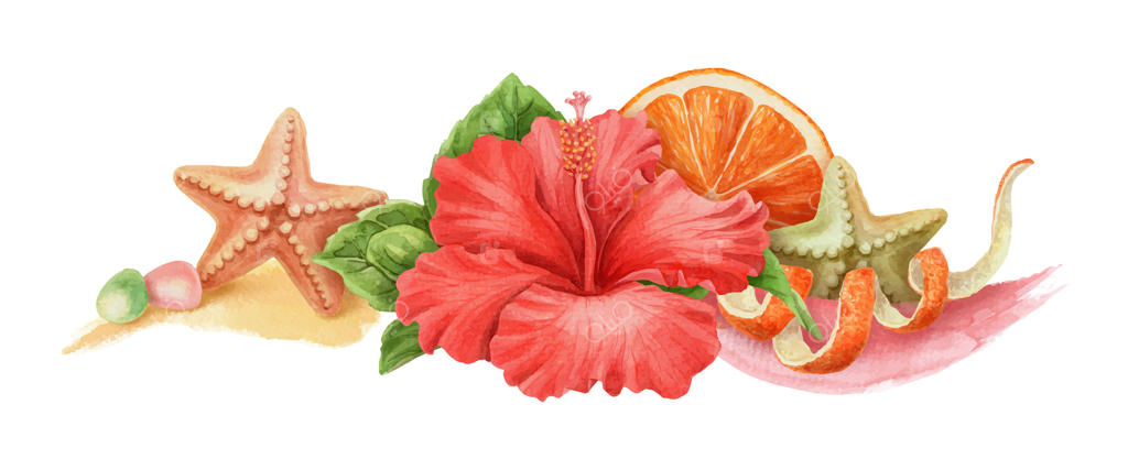 چیدمان تابستانه با گل ختمی و ستاره دریایی: اثر هنر آبرنگ با رنگ نارنجی و قلم‌مو. عنصر گرافیکی با حال و هوای ساحلی. ایده‌آل برای قالب کارت و طراحی فصل تعطیلات.