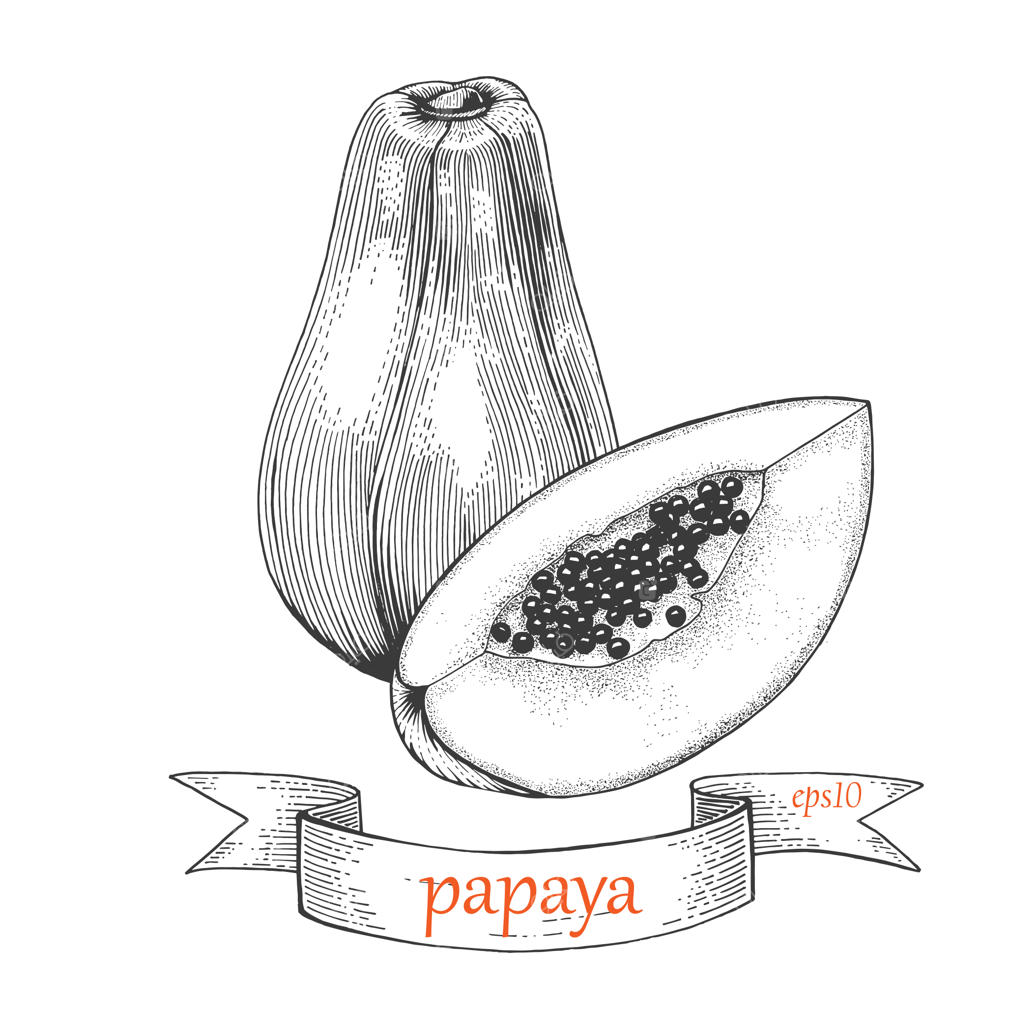 طرح دست‌کشیده پاپایا: یک اثر هنری دستی.