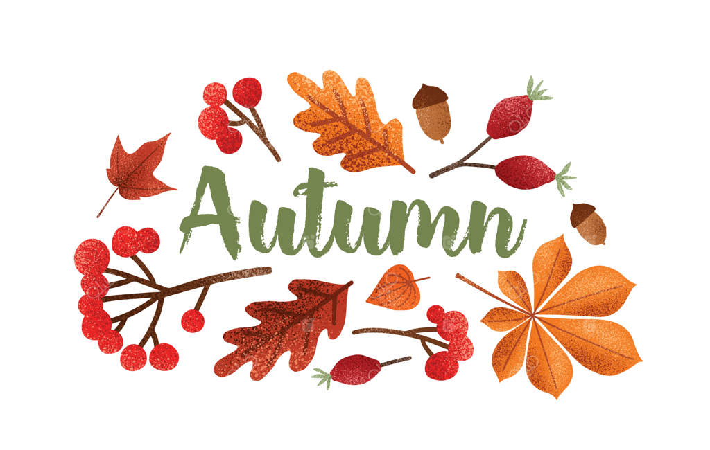 ترکیب پاییزی: خوشنویسی زیبا با برگ‌های خزان، بلوط و توت‌ها.