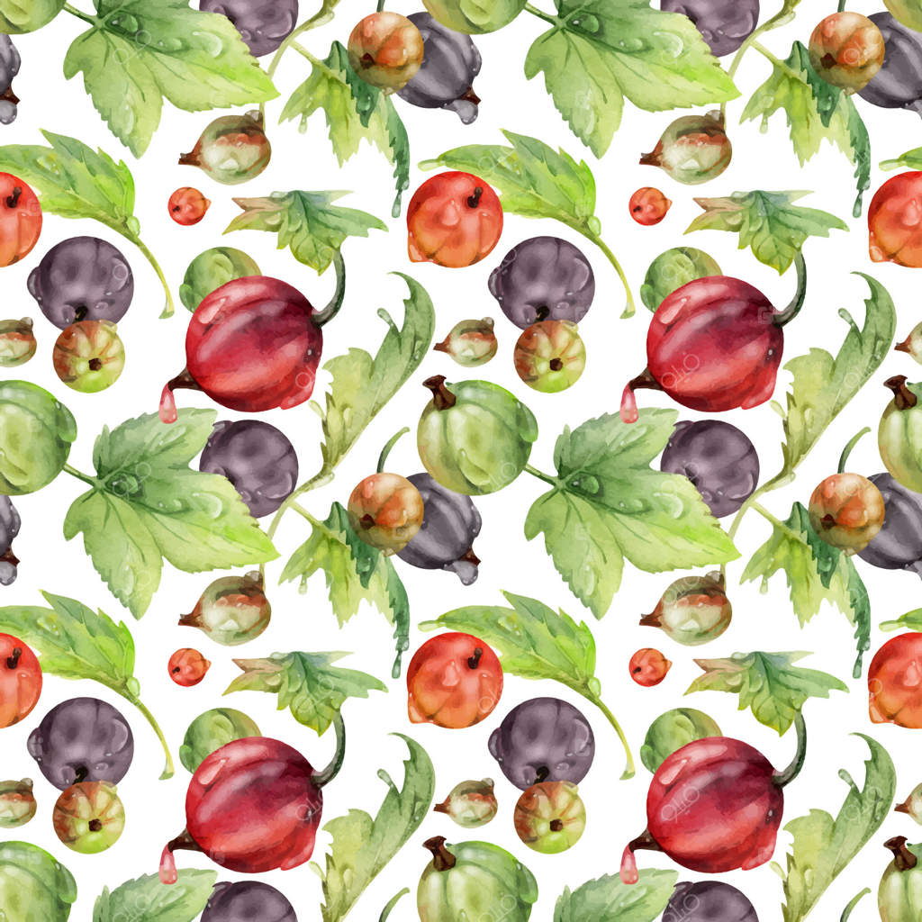 دانه‌های انگور فرنگی و کشمش پرنده در میان قطرات شبنم با برگ‌های سبز، توت‌های رسیده باغ، کاسیل، جونبری و جستابری. پترن یکپارچه و دست‌کشیده با آبرنگ. طراحی برای پارچه، کاغذ کادو، و کاغذ‌دیواری.