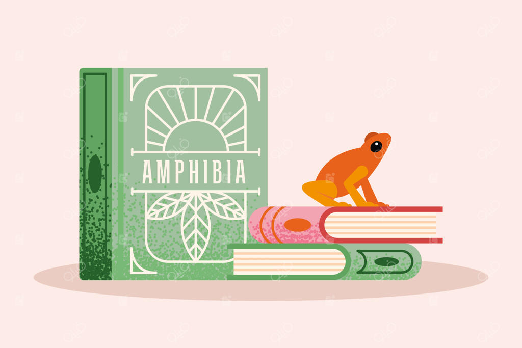 تصویرسازی‌ها