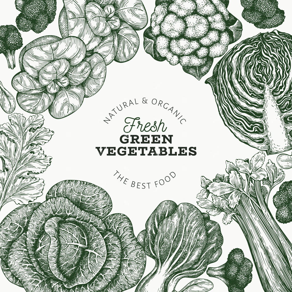 برچسب دست‌کشیده سبزیجات تازه و سبز