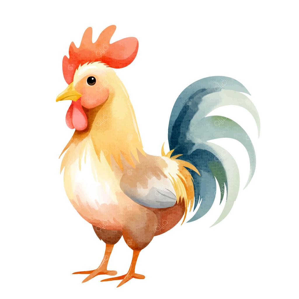 خروس بامزه به سبک آبرنگ. نقاشی دستی حیوانات مزرعه. مرغ آبرنگی